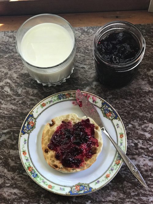 Elderberry Offers Edible and Medicinal Benefits